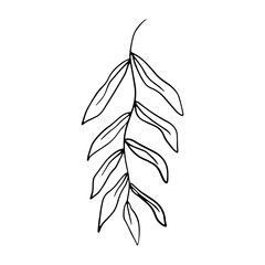 Minimalist Botanical Leaves Vector Illustration