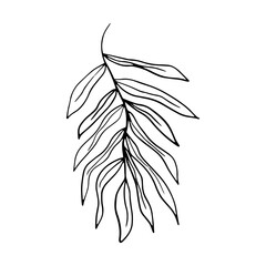 Minimalist Botanical Leaves Vector Illustration
