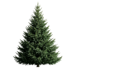 Christmas fir tree, decorative winter holiday decor, cut out transparent
