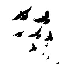 Flying birds silhouette flock. hand drawing. Not AI. Vector illustration