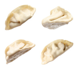 Set of uncooked gyoza on white background