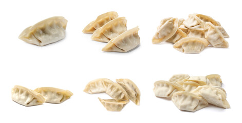 Set of uncooked gyoza on white background