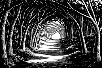 hand drawn Natural archway shaped by branches in the forest black and white sketch outline