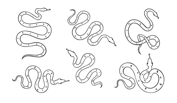 Hand drawn doodle snake top view icon set. Outline drawing isolated snake on white background.