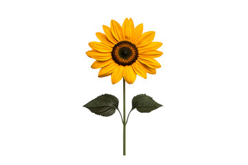 Obraz premium Vivid yellow sunflower, detailed stem, foliage, black backdrop, cut out transparent