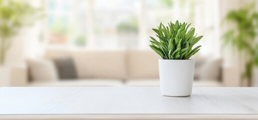 Potted plant on white table blurred background