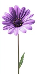 Fototapeta premium Single Purple Flower Portrait