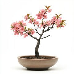 Pink Blossom Tree Bonsai Art
