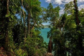 Vista da Trilha das sete praias Lagoinha Ubatuba/SP