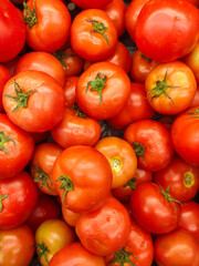 red tomatoes background