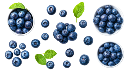Fresh blueberries with mint leaves still life food photography, cut out transparent