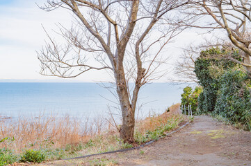 新潟　番神岬から望む日本海（柏崎市）