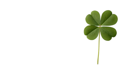 Four-leaf clover symbolizes luck and nature, cut out transparent