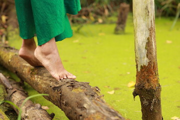 Bare female feet on old tree trunk