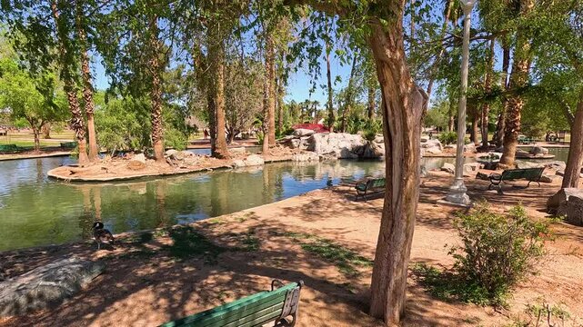 footage of a gorgeous at Encanto Park with a lake, lush green trees, plants and grass in Phoenix Arizona USA