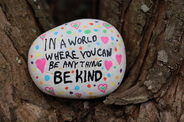 In a world where you can be anything be kind kindness rock nestled in tree.