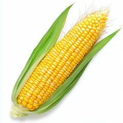 Fresh ear of corn with vibrant kernels, perfect for a healthy meal or snack. Isolated on a clean white backdrop.