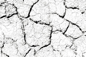 Texture soil dry crack background pattern of drought lack of water of nature white black old broken.