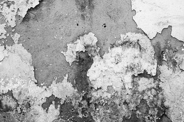 A close-up of a decaying wall with peeling paint and cracked plaster, captured in monochrome. The worn texture and irregular patterns evoke an aged, abandoned atmosphere.