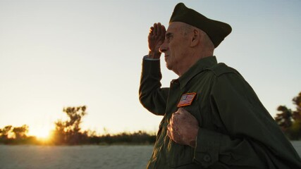 Sun In The Sky During Veterans Day Celebration