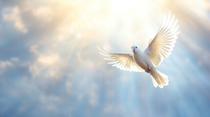 Fototapeta premium White dove flying through clouds