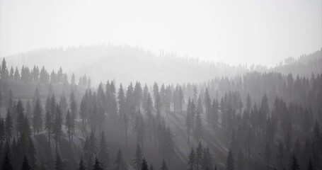 Dense evergreen forests stretch across rolling mountains enveloped in mist. The cool weather shrouds the scene in a serene, tranquil atmosphere, showcasing natures beauty.