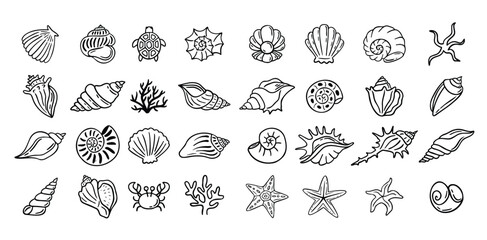 Shells doodle hand drawn style set. Outline seashells, starfish black outline sketch isolated elements on white background for design clipart template © Yanka