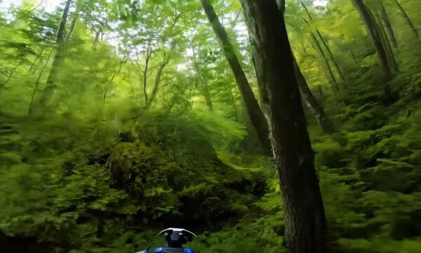 FPV Drone Weaving Through Tall Trees in a Forest