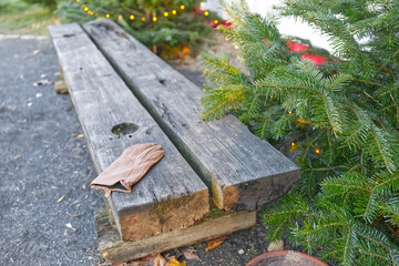 Rustic Wooden Bench with Glove and Greenery