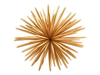 Obraz premium Golden Starburst Decoration for Festive Occasions