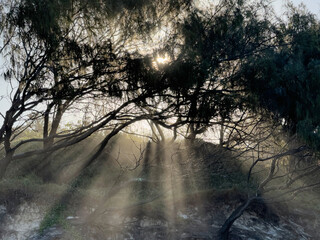 Sun streaking through cliffs and sea spray, Coolum Beach, Sunshine Coast, Queensland, Australia