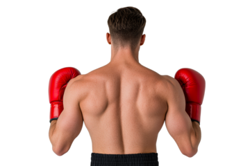 Muscular boxer with red gloves, back view, strength, isolated, cut out transparent