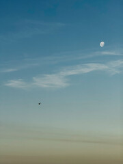 Black sanded beach, Waitara, Taranaki, New Zealand