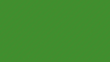 Solid Green Background (20)