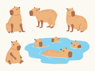 Capybara cute set. Vector illustration of cartoon swimming capybaras