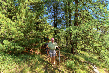 Obraz premium hiking in the woods