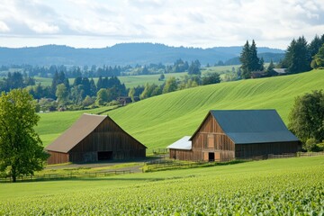 Obraz premium Serene Farm Landscape with Red Barns and Lush Green Hills