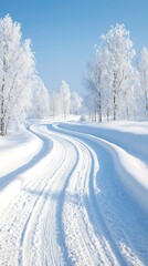 Obraz premium Snowy Path for Winter Wonderland, Arctic Landscape.