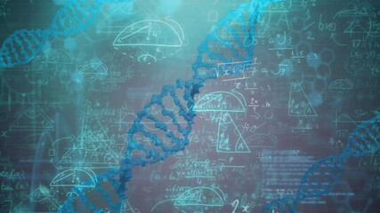 DNA strand and mathematical equations over scientific data processing animation - Powered by Adobe