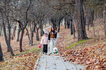 Fototapeta premium Pictures of two little girls while walking and playing with their white-collared dogs, they were the happiest and most joyful. Walking with dogs is one of the healthiest human activities.