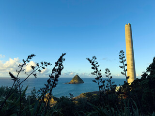 Sugarloaf islands, chimney and flax flowers, Taranaki, New Zealand