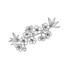 Orange Tree Line Art | Black and White Vector Citrus Drawing