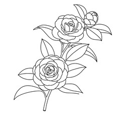 Water Lily Line Art | Black and White Vector Coloring Page