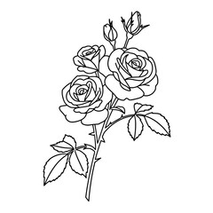 Margarita Cocktail Glass Line Art Vector | Coloring Page Design