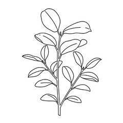 Passion Flower Line Art Vector - Black and White Floral Coloring Design