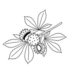 Tropical Palm Tree Line Art Vector | Black and White Beach SVG