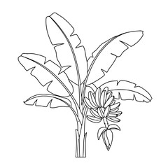 Line Art Pothos Plant Vector | Indoor Vine Coloring Page