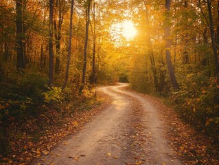 Obraz premium Winding path through autumn forest with forced perspective and golden hour lighting and copy space above