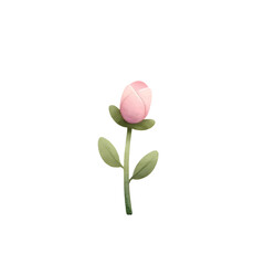 Fototapeta premium flower isolated on transparent background