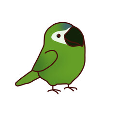 bird